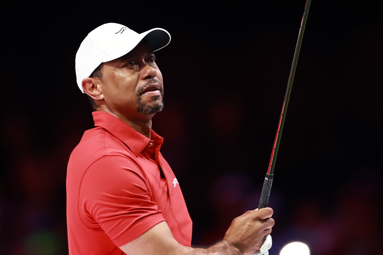 Tiger Woods, PGA Tour, TGL