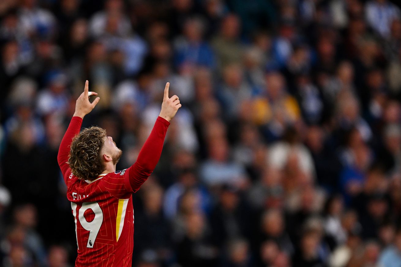 Brighton & Hove Albion FC v Liverpool FC - Premier League